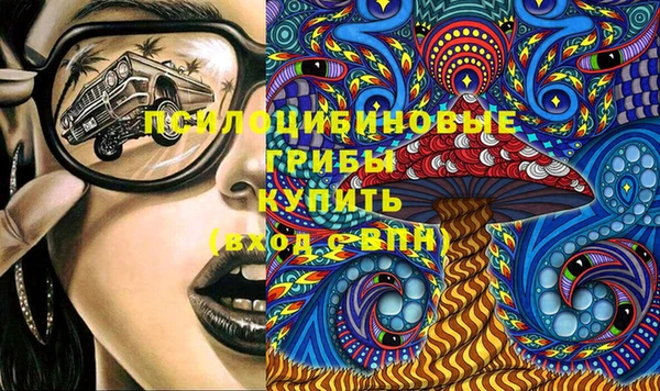 МДПВ Алзамай